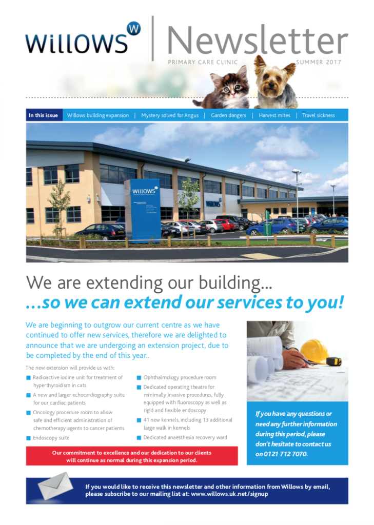 willows-newsletter-summer-2017