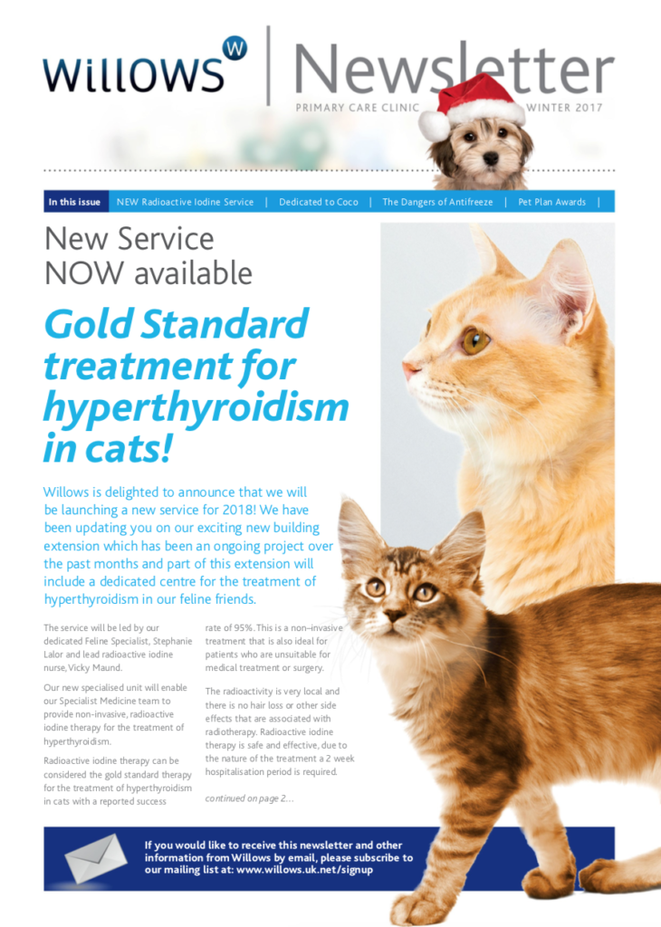 willows-newsletter-winter-2017