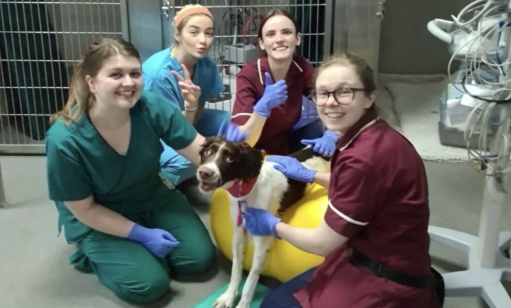 staff in scrubs and uniform kneeling down beside a dog