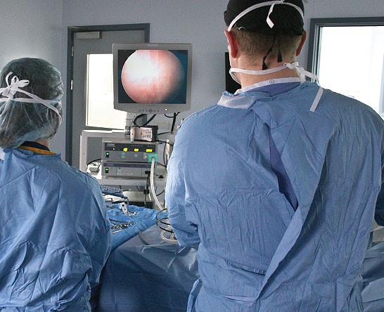 vets performing advanced laparoscopic procedures at Willows